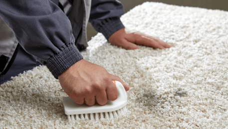 Professional Rug Cleaning Wallan